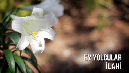 Müziksiz İlahiler - Ey Yolcular