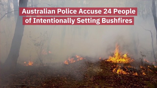 New South Wales Police Charge People For Intentional Bushfires