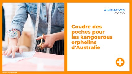 Coudre des poches pour les kangourous orphelins d'Australie
