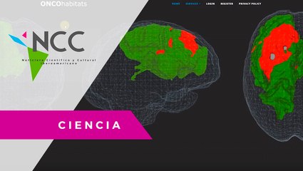 Una pla­ta­for­ma per­mi­te dar­le se­gui­mien­to a los pa­cien­tes con tu­mor ce­re­bral