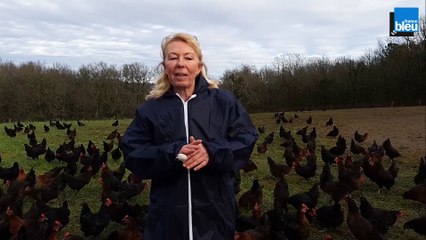 Savoir faire en Périgord - Sylvie Tisserand - Kravtchenko - Vendredi