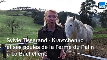 Savoir faire en Périgord - Sylvie Tisserand - Kravtchenko - Lundi