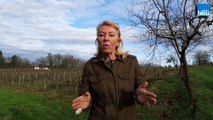 Savoir faire en Périgord - Sylvie Tisserand - Kravtchenko - Mercredi