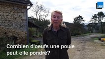 Savoir faire en Périgord - Sylvie Tisserand - Kravtchenko - Mardi