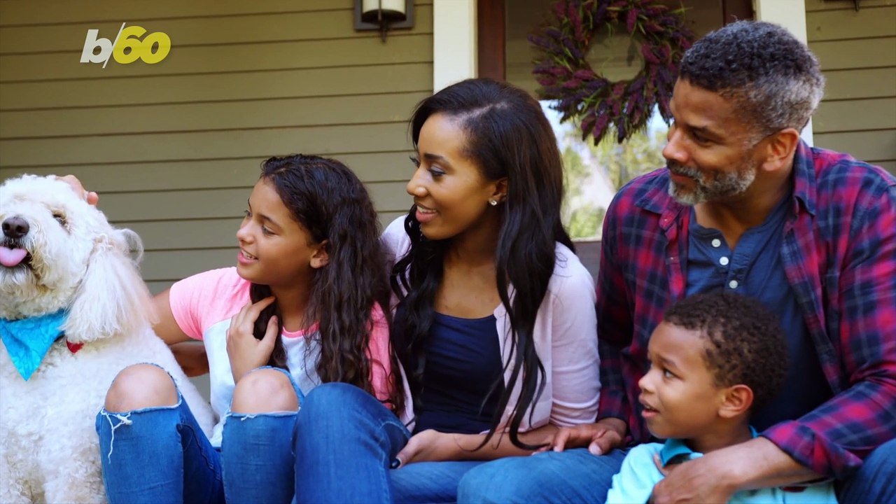 Hate To Leave? This Is How Long You Can Leave A Dog Alone