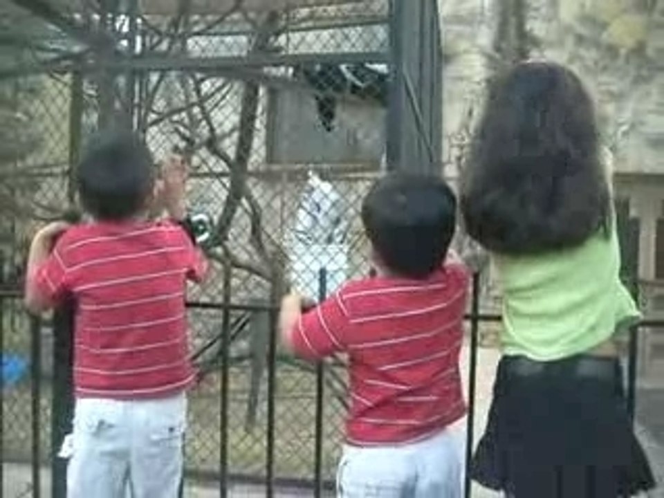 @ the zoo!!