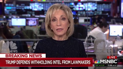 Mitchell immediately calls out Trump for lying about Democrats supporting terrorism