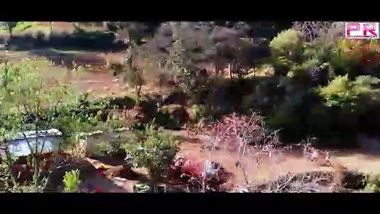 New Nepali song 2020 -  Maya Lagchha Nabhana || Bishwa Nepali || Binod Shrestha, Rama, Alina.