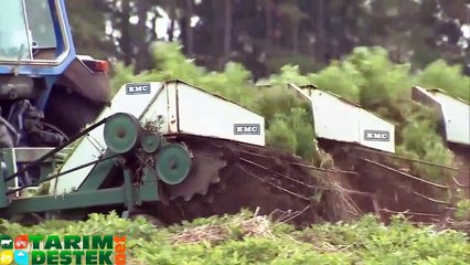 Modern Fıstık Hasat Makinası