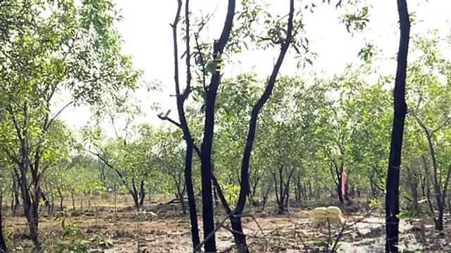 نساء في فيتنام يعملن على تطهير الأراضي من الألغام غير المتفجرة