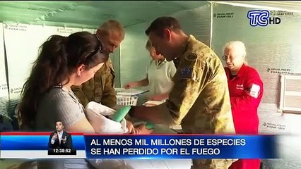 Millones de animales han muerto por incendios en Australia