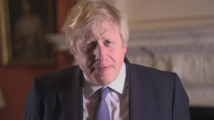 Johnson Brexit Passes