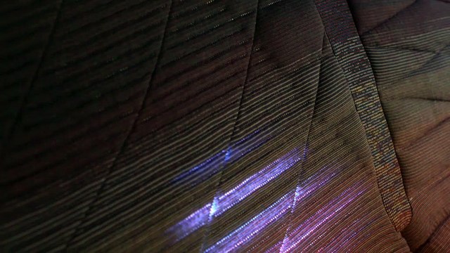 Concept de transport autonome BMW i Interaction Ease (Interieur)