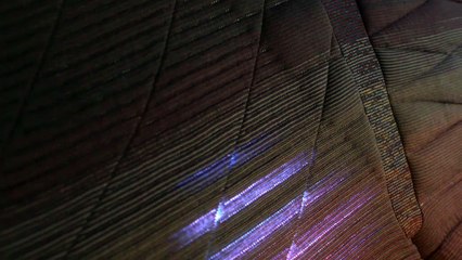 Concept de transport autonome BMW i Interaction Ease (Interieur)