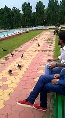 Boys chilling in park.
