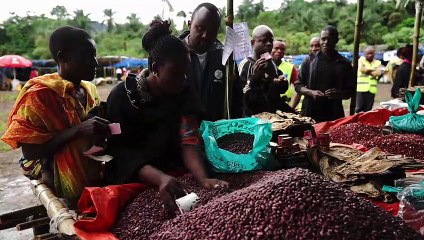 Траты в Эритрее. Депутаты-каталонцы. Отказ от Эразмуса