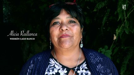 Alicia Raillanca, Werkén Lago Ranco:  "América latina está llena de genocidios"