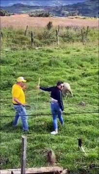 Elle oublie de lacher le feu d'artifice... Oups