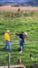 Elle oublie de lacher le feu d'artifice... Oups