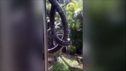 Vous allez vite comprendre pourquoi il ne peut pas ouvrir ses fenêtres