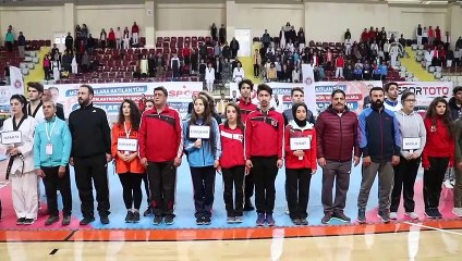 Kulüpler Türkiye Tekvando Şampiyonası