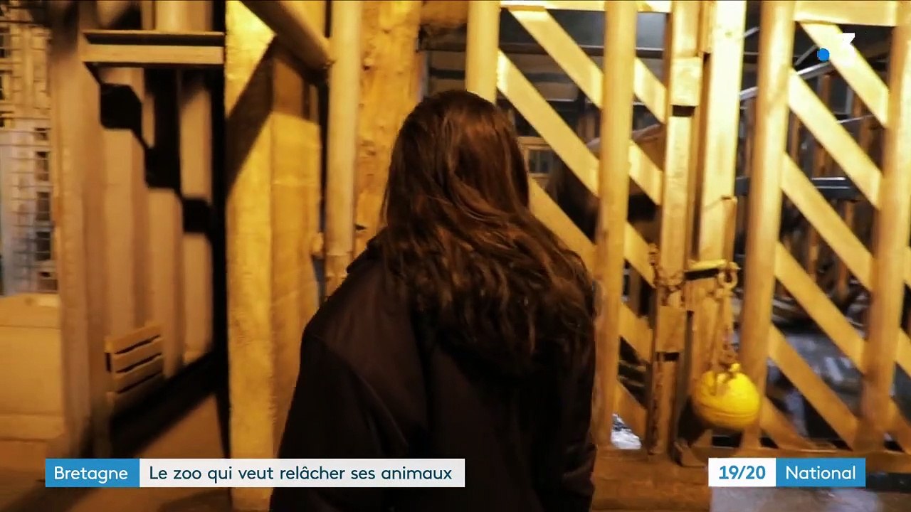 Bretagne : le zoo de Pont Scorff veut relâcher les animaux en milieu naturel