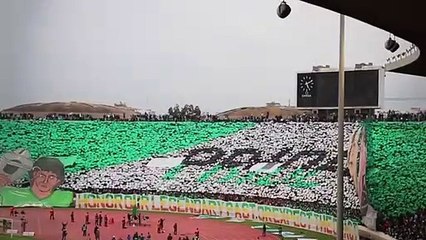 Casablanca taraftarından inanılmaz koreografi!