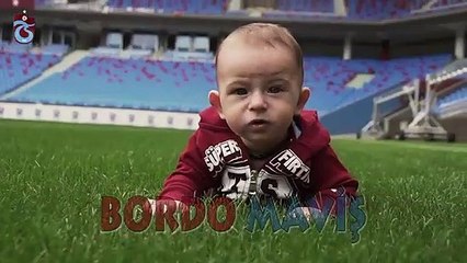 Bordo Maviş