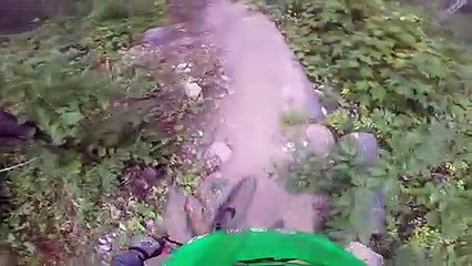 Dikkat ayı çıkabilir demeye kalmadan ayı çıktı...