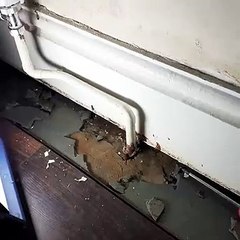 24 hour emergency plumber