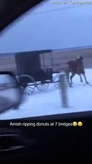 Horse and Buggy Doing Donuts