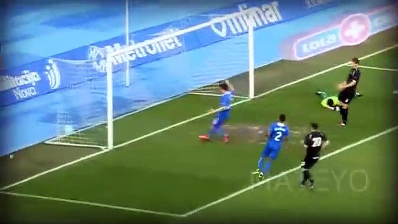 Marcelo Brozovic