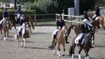 Binicilik için RTÜK onaylı kamu spotu