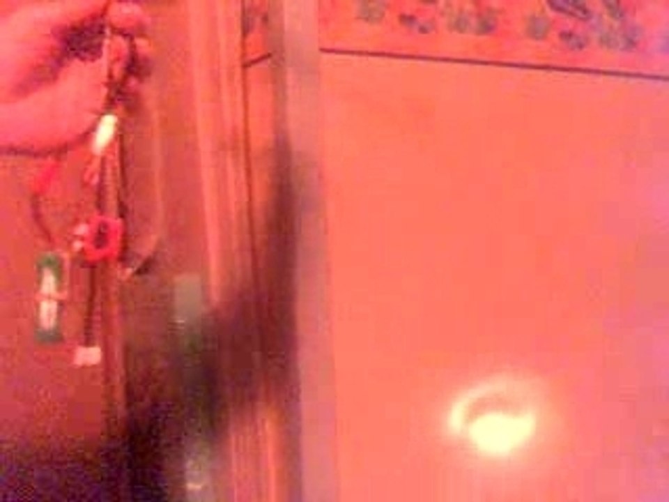 LamaLight