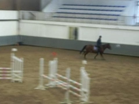 chute cheval au centre equestre de reims le CER ou ARCER
