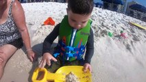 Caleb & Daddy Play In The Ocean with Sea Turtles and Crabs! Caleb Pretend Play