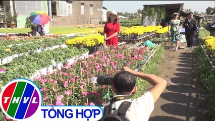 Rộn ràng mùa “săn” ảnh đẹp tại làng hoa Sa Đéc