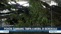 Hujan Deras dan Angin Kencang, Empat Mobil di Bengkulu Tertimpa Pohon Tumbang