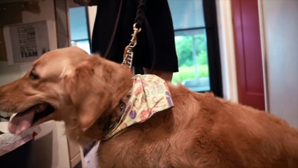 Animal Wellness Center Waukesha: Testimonial - Cassie