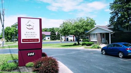 Animal Wellness Center Burlington: Silent Tour
