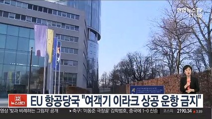 EU 항공당국 "여객기 이라크 상공 운항 금지"