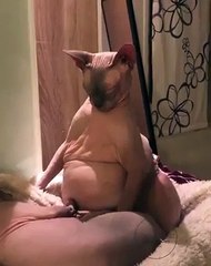 when your cat sleeps more than you!