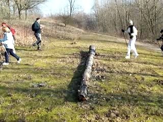 Franchissement de tronc en Marche Nordique