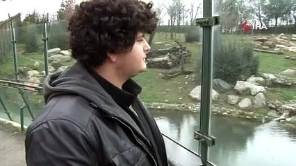 Ayıların uykusu kaçtı