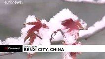 شاهد: الجليد يزيد من جمال الطبيعة في مناطق شمال شرق الصين