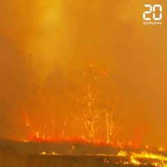 Download Video: Australie: Les chiffres impressionnants des incendies