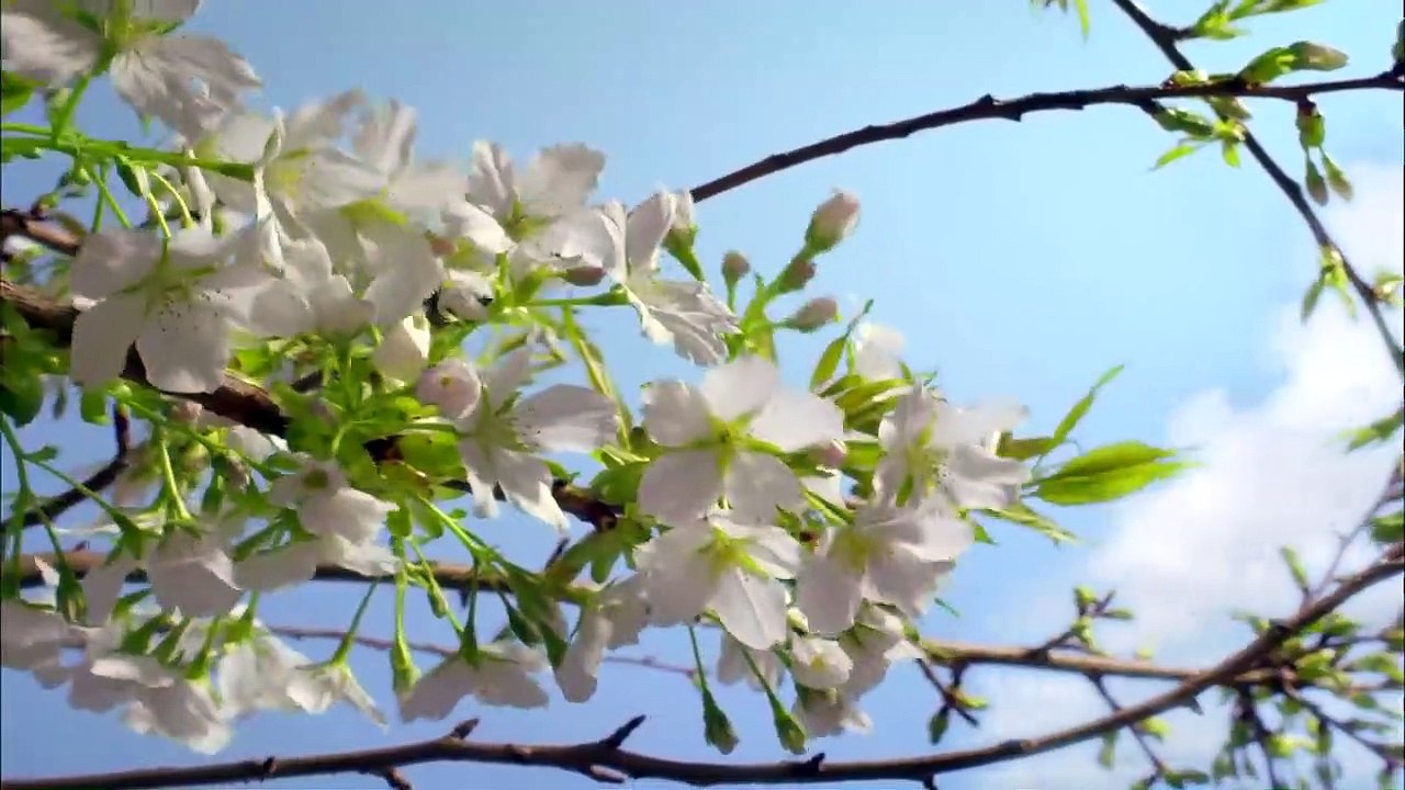 test3