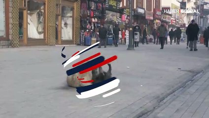 Ne soğuk ne de insanlar onun oyun keyfine engel