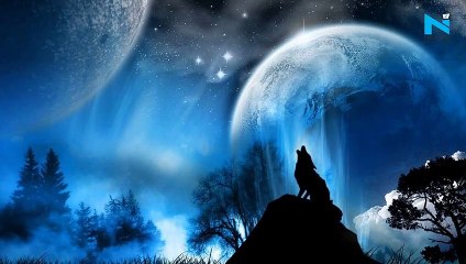 Lunar Eclipse 2020 today: Facts to know before watching penumbral wolf moon