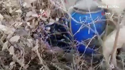 Diyarbakır'da 2 ton 80 kilogram esrar ele geçirildi